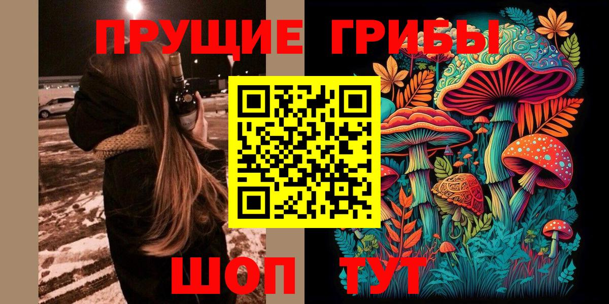 Псилоцибиновые грибы Psilocybe Нарткала
