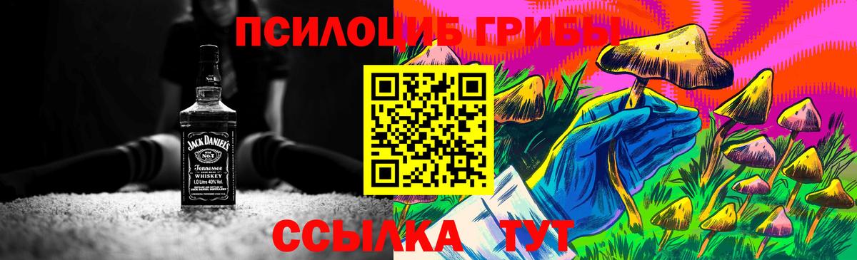 Нарткала  Псилоцибиновые грибы мухоморы  хочу   Вход с VPN 